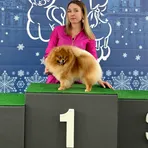 Наталья Головач