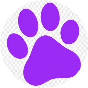 SOBAKA Grooming Salon | Pet Store dog grooming listing photo