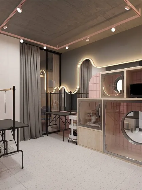 Зображення 3 з 4 у галереї "ZooXaта_Grooming"