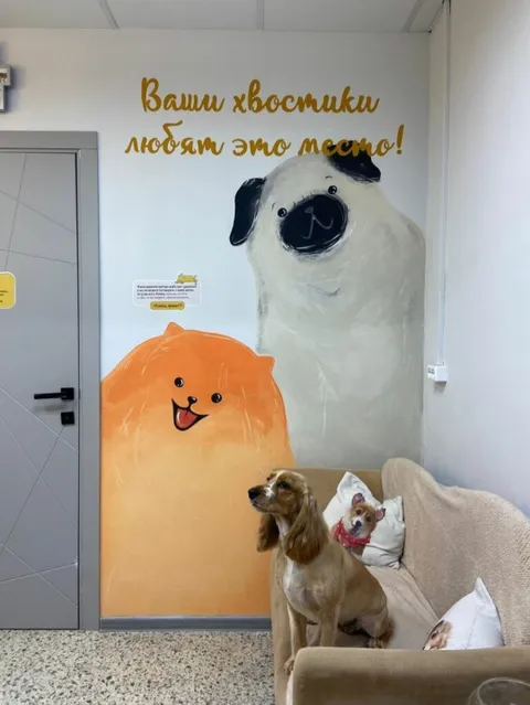Изображение 3 из 7 в галерее "Зоосалон Mary Groom"