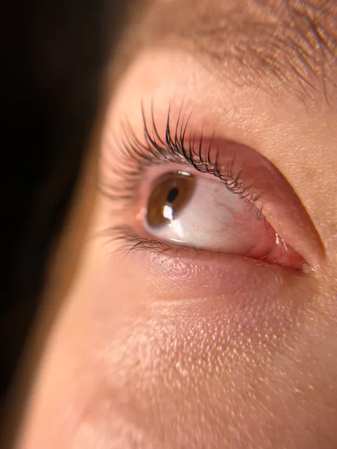 Зображення 9 з 25 у галереї "Lash.room.sh"