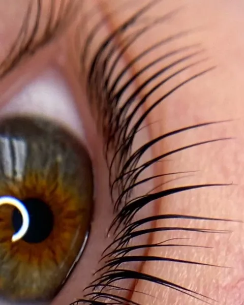 Зображення 4 з 25 у галереї "Lash.room.sh"