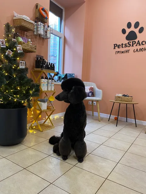 Зображення 2 з 7 у галереї "PetsSpace"