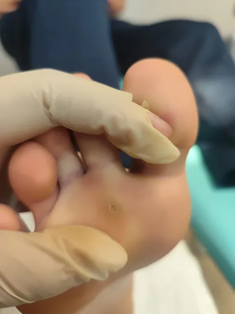 Imagem 10 de 13 na galeria de "Pabreu Pedicure Medicinal"