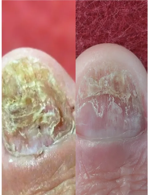 Imagem 5 de 13 na galeria de "Pabreu Pedicure Medicinal"