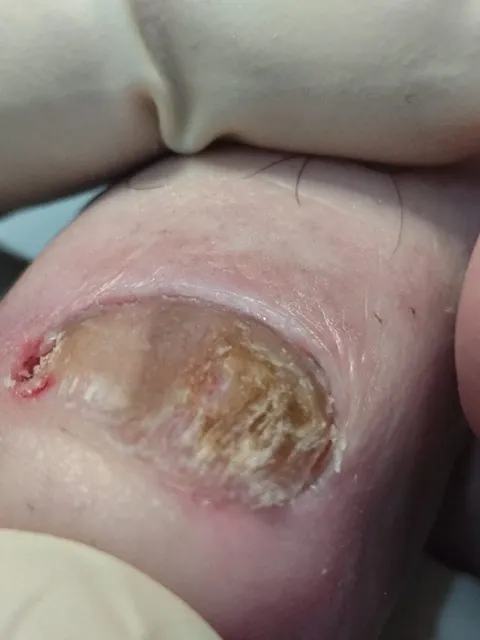 Imagem 2 de 13 na galeria de "Pabreu Pedicure Medicinal"