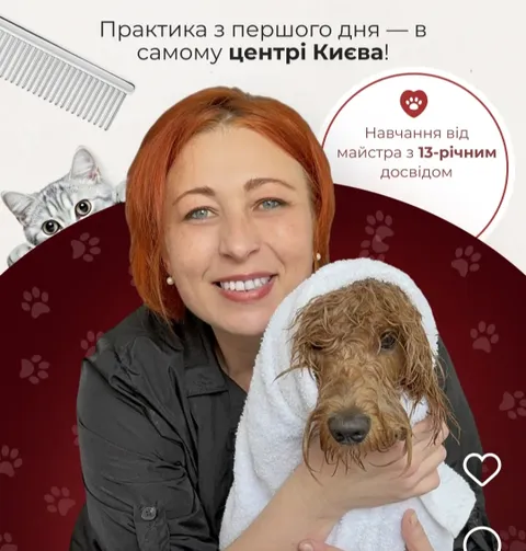 Зображення 1 з 27 у галереї "Gromky"