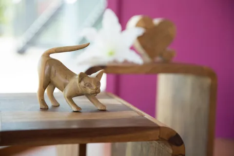 Bild 1 von 6 in der Galerie von "Catwalk Grooming Nancy Klabunde"