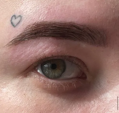 Зображення 2 з 5 у галереї "sssnlvk.brows"