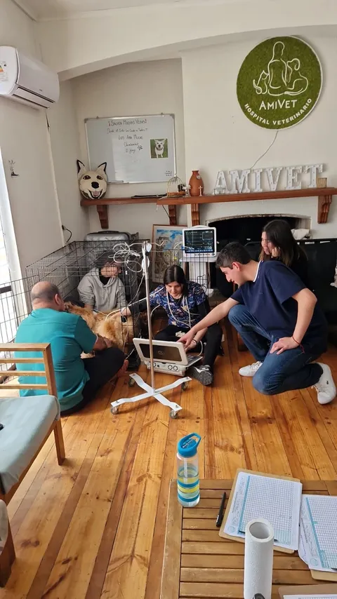 Imagen 2 de 10 en la galería de "AMIVET"