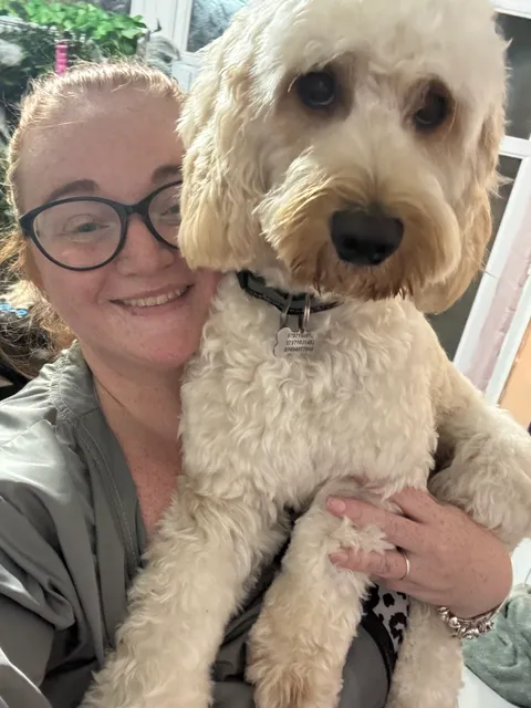 "Labra-Claws Avenue" gallery image 3 of 7