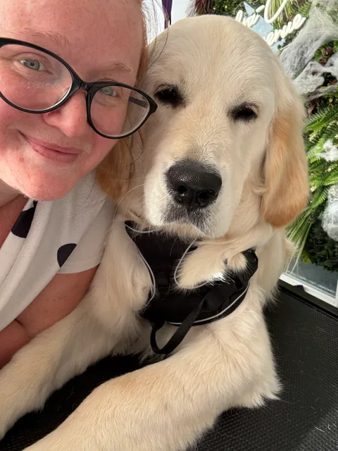 "Labra-Claws Avenue" gallery image 5 of 7