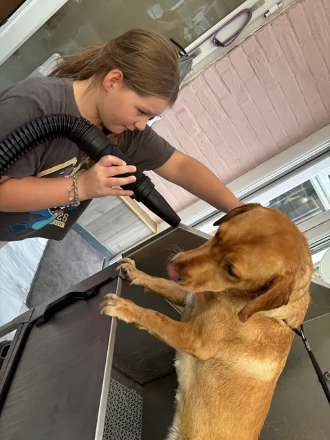 "Labra-Claws Avenue" gallery image 6 of 7