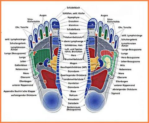 Bild 4 von 5 in der Galerie von "Quantum Wellness Oase"