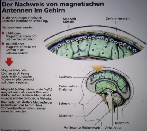 Bild 5 von 5 in der Galerie von "Quantum Wellness Oase"