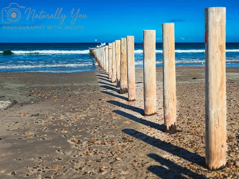 Image 3 of 50 in the gallery of "Naturally You Photography with Jaclyn"