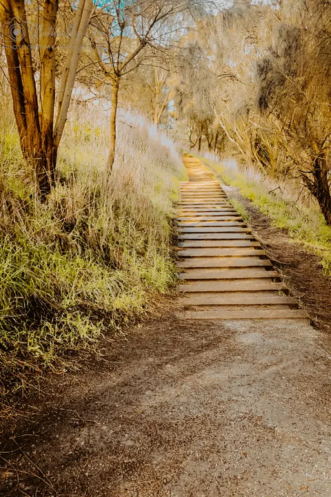 Image 2 of 50 in the gallery of "Naturally You Photography with Jaclyn"