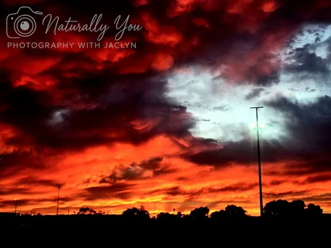 Image 9 of 50 in the gallery of "Naturally You Photography with Jaclyn"