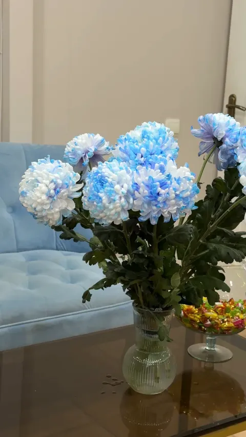 Зображення 4 з 11 у галереї "Pudra beauty studio"