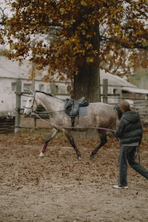 Зображення 10 з 22 у галереї "StableBrovary"