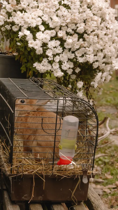 Зображення 6 з 22 у галереї "StableBrovary"