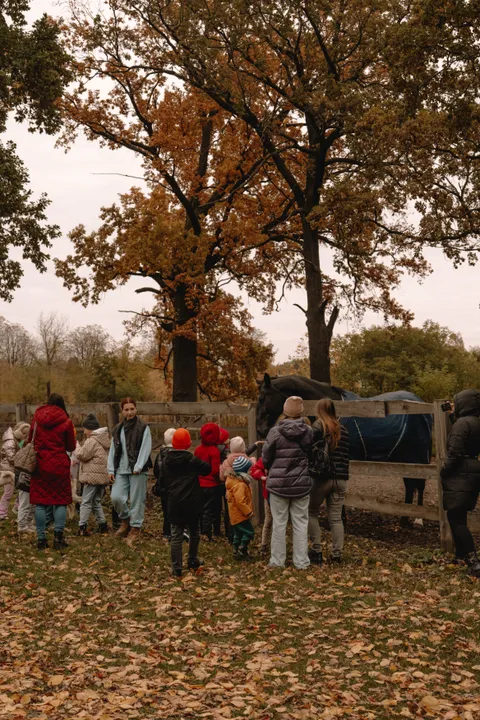 Зображення 1 з 22 у галереї "StableBrovary"