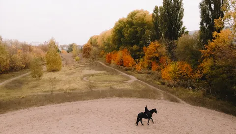 Зображення 4 з 22 у галереї "StableBrovary"