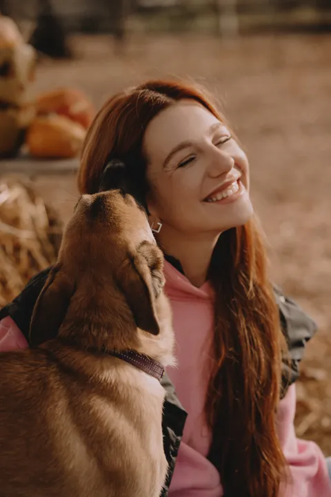 Зображення 3 з 22 у галереї "StableBrovary"