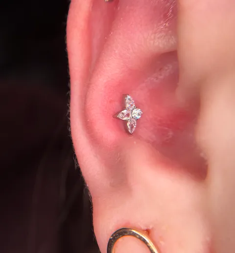 Зображення 10 з 26 у галереї "Piercing_kyiv_911"