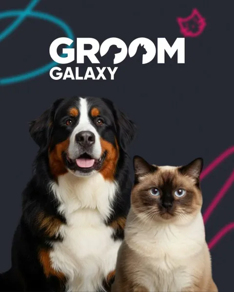 Zdjęcie 1 z 3 w galerii "GROOM GALAXY Gdansk"
