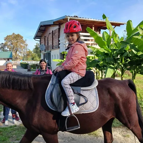 Slika 5 od 16 u galeriji "OPG Ergela Galop"