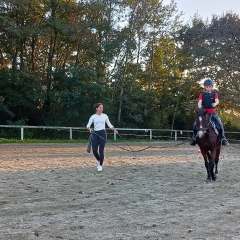 Slika 6 od 16 u galeriji "OPG Ergela Galop"