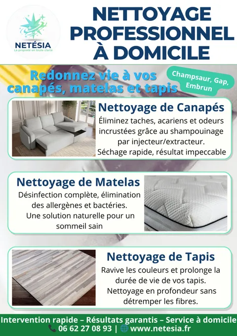 Image 2 sur 4 de la galerie « Netésia »