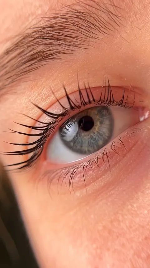 Зображення 1 з 9 у галереї "Brows Bas Master"