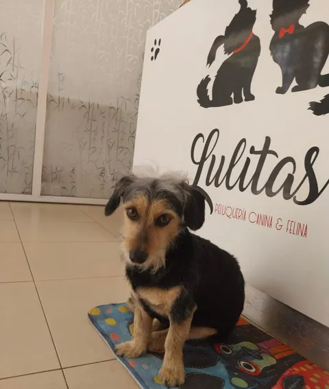 Imagen 8 de 9 en la galería de "Lulitas"