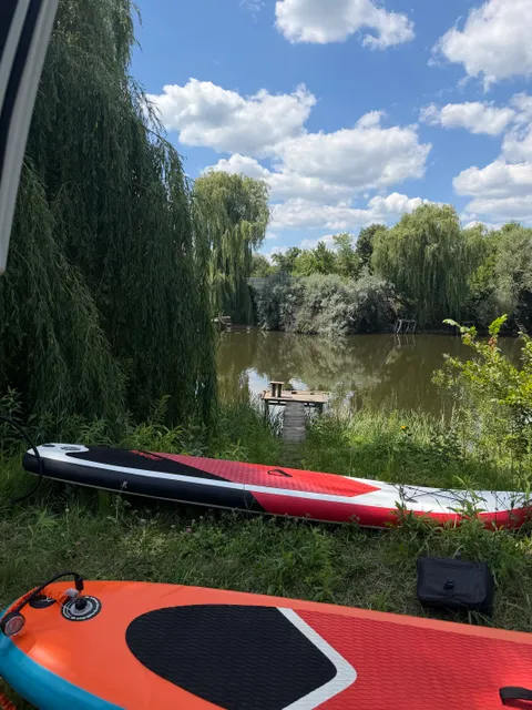 Зображення 4 з 6 у галереї "Sup by Irish (сап-борди від коргі Айріша)"