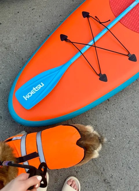 Зображення 5 з 6 у галереї "Sup by Irish (сап-борди від коргі Айріша)"