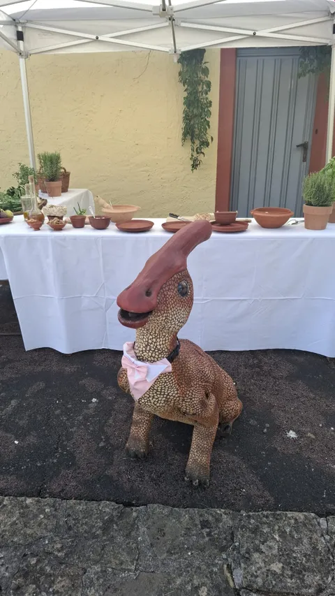 Bild 9 von 17 in der Galerie von "Dino Kammli"