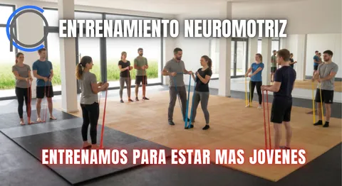 Imagen 6 de 6 en la galería de "Corpa Lab. Neurociencia y Movimiento"