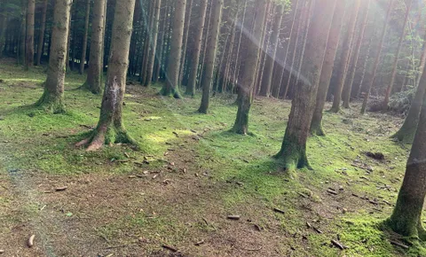 Foto von Seelen-Zauber, Mamas Zeit-Engel: 1