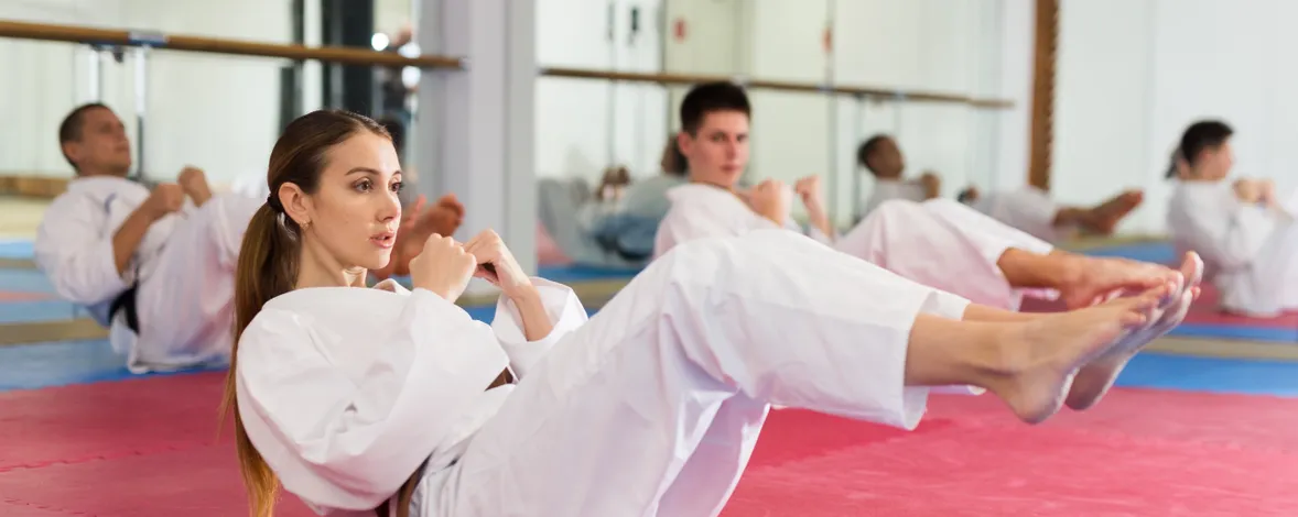 Программа для школы боевых искусств