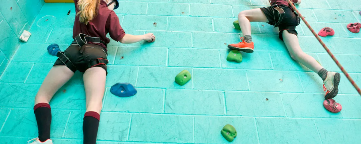 Программа для спортшколы