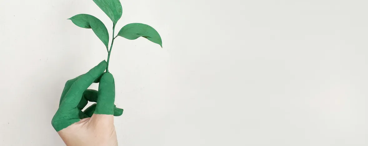  Soziales Unternehmertum: Unternehmen gründen und Gutes tun