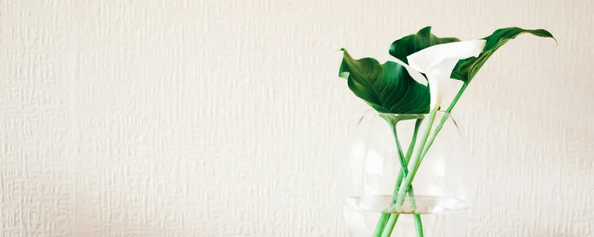 5 Best ideas for a cool salon