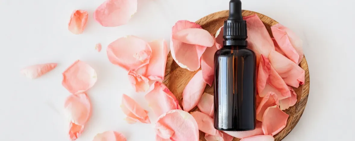 How to create a SPA salon website and start making money