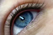https://storage2.easyweek.io/live/media/47636/branch_images_V7ohLJgH.jpg