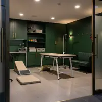 Tierphysiotherapie