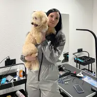 Іолента