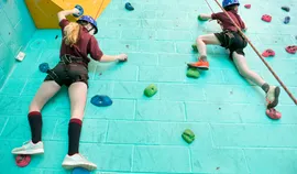 Программа для спортшколы