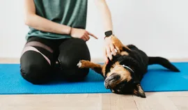 Dog school business plan